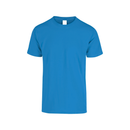 Men’s Heavy Weight Crew Neck Short Sleeve T-Shirt Vibrant Colors · 100% Cotton C0300