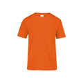 Youth’s Heavy Weight Crew Neck Short Sleeve T-Shirt Unisex - 100% Cotton J0300
